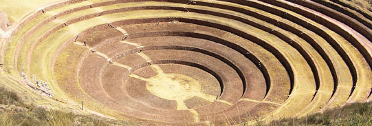 Moray